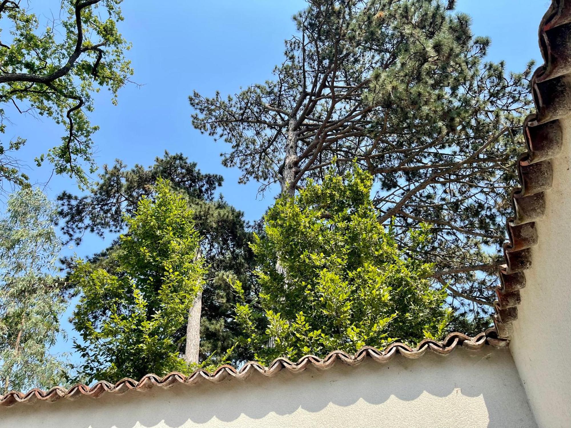 Aux Tourelles 1888 - Tres Proche Lyon Bed and Breakfast Tassin-la-Demi-Lune Εξωτερικό φωτογραφία